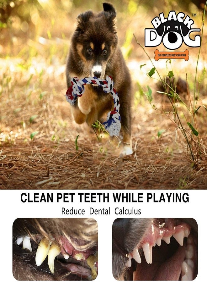 BLACK DOG Cotton Durable Dog Chew Rope Toy for Small to Medium Dogs (Colour May Vary) - Image 3